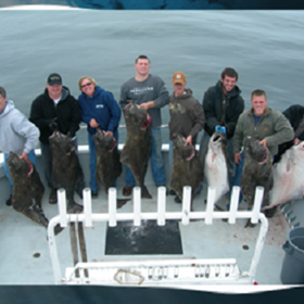 HALIBUT: Westport Sport Fishing