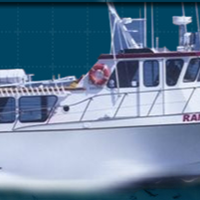 Портфолио Green Phillips